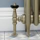 FAR-AG-OEB-LS07 - Faringdon Traditional Thermostatic Radiator Valve Old English Brass (Angled TRV) FAR-AG-OEB-LS07 - Faringdon Traditional Thermostatic Radiator Valve Old English Brass (Angled TRV)